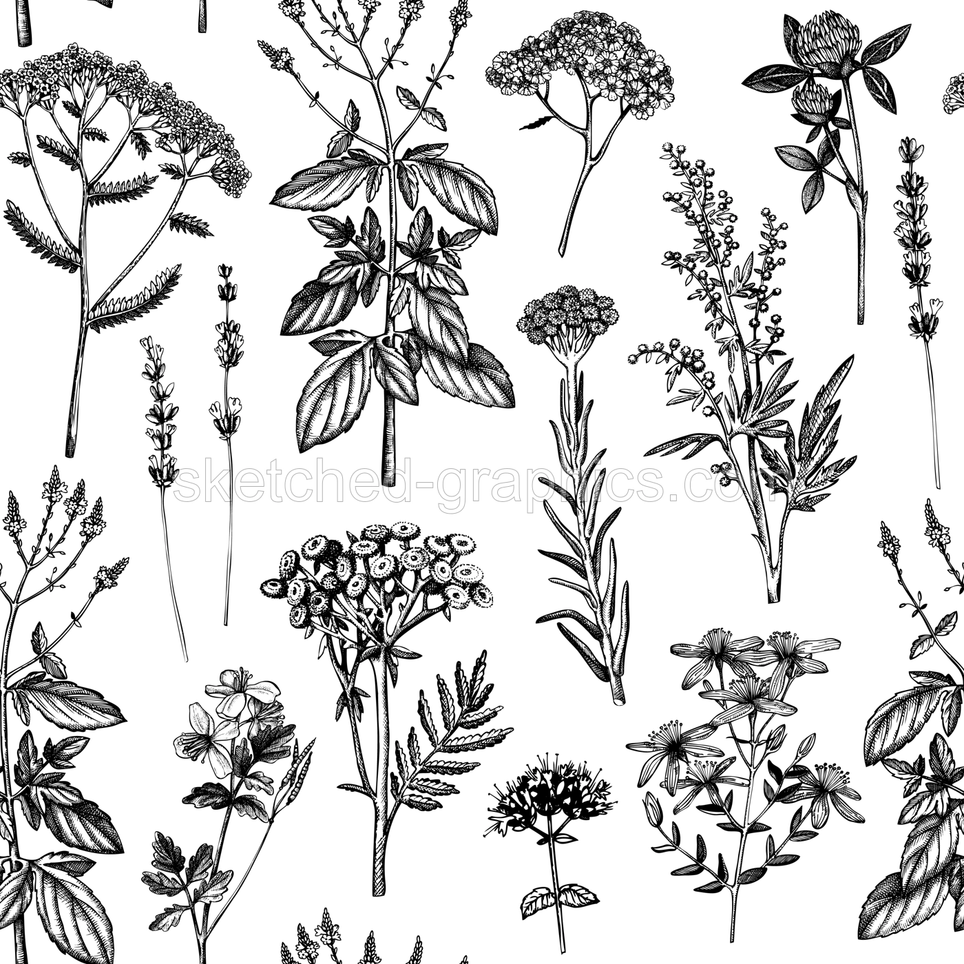 Herbal Seamless Pattern Illustration